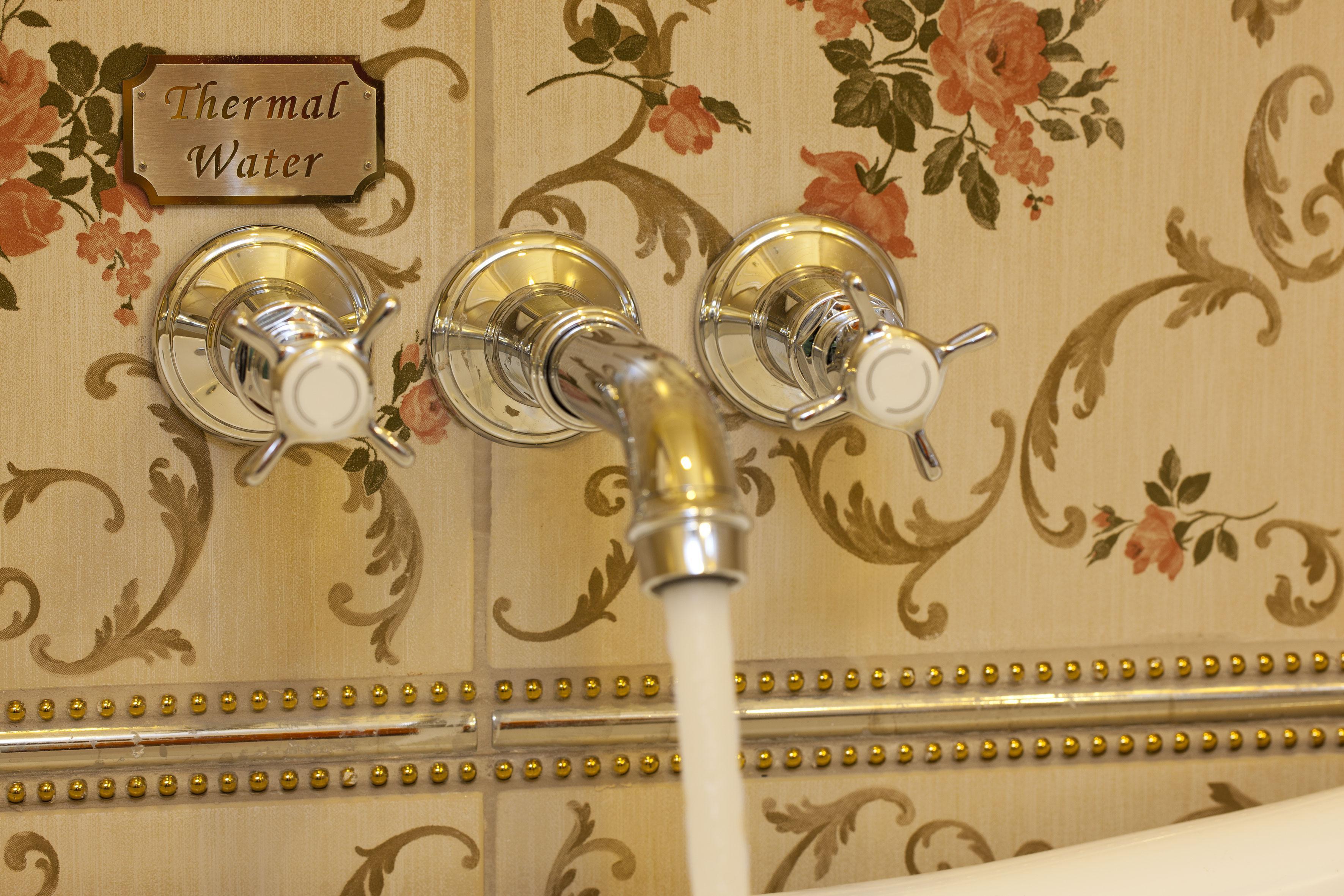 Limak Yalova Thermal Boutique Hotel Gokcedere Luaran gambar